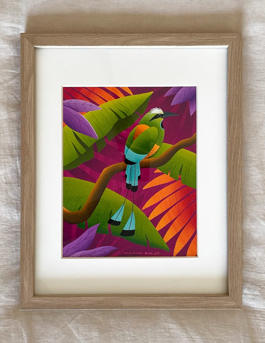 Torogoz Print
