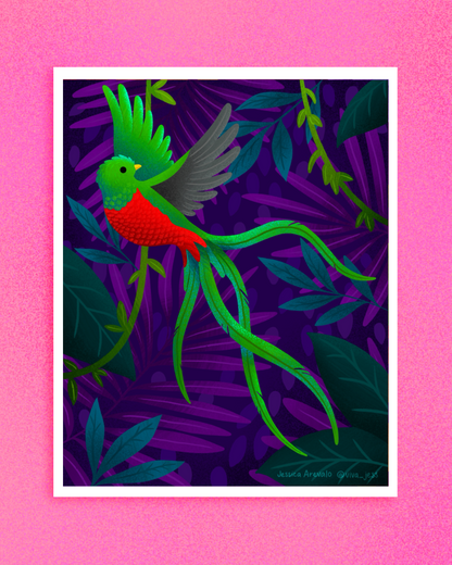 Quetzal Print
